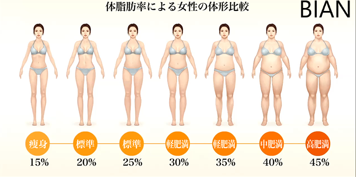 脂肪 40 体 率 女性 代